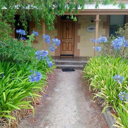 Walnut Cottage Angaston Kültér fotó