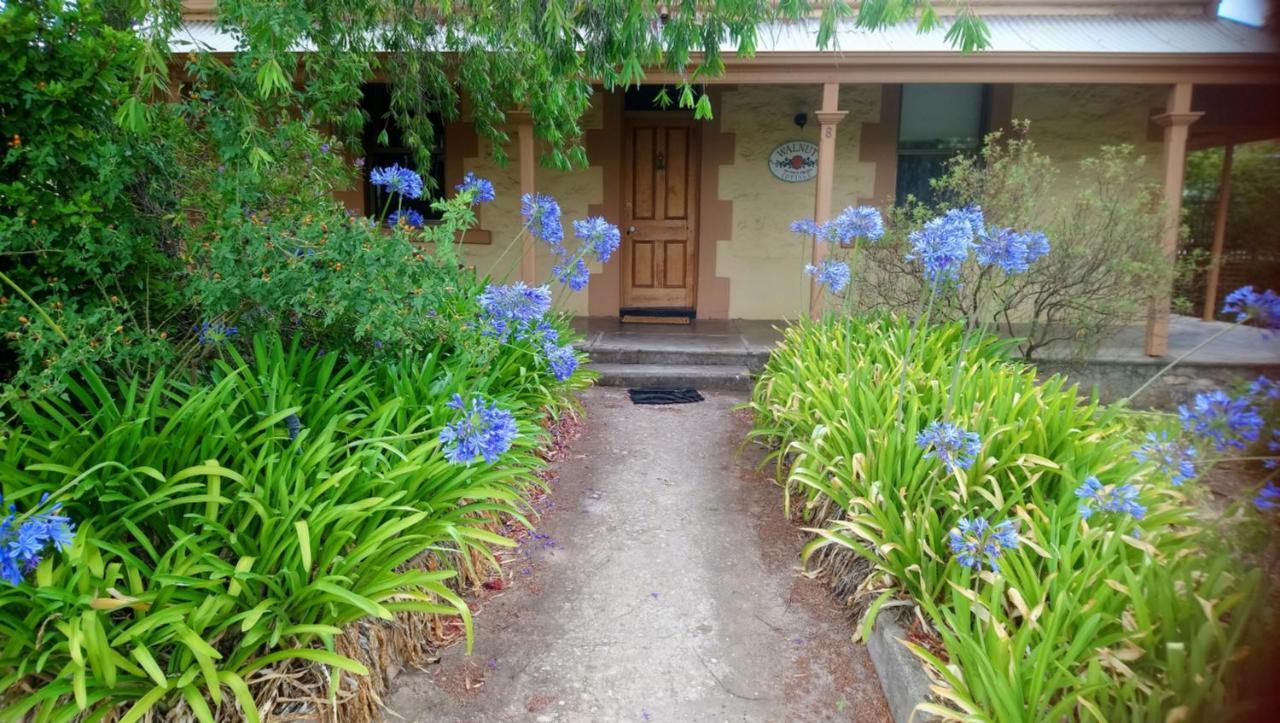 Walnut Cottage Angaston Kültér fotó