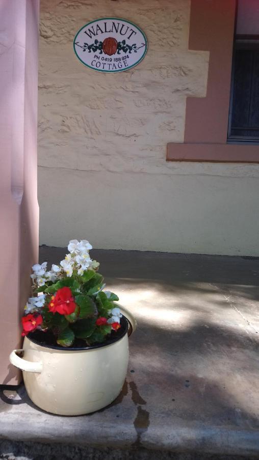 Walnut Cottage Angaston Kültér fotó