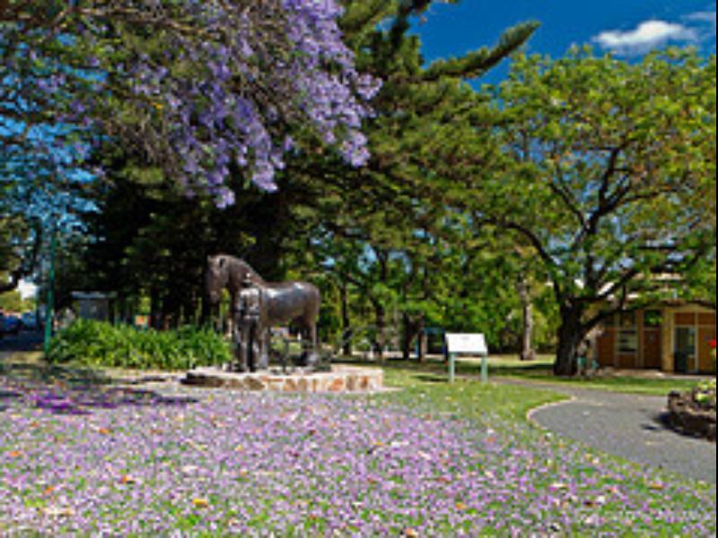 Walnut Cottage Angaston Kültér fotó